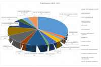 Pubblicazioni 2020 2024 per categorie